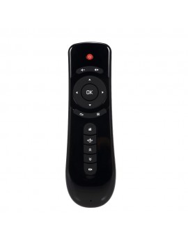 2.4GHz Fly Air Mouse Wireless Handheld Remote Control